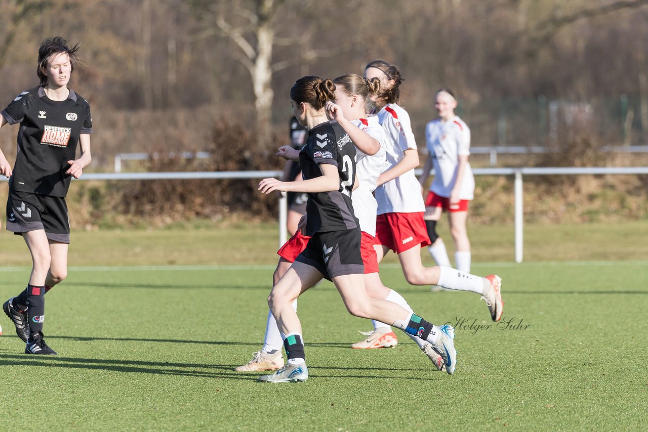 Bild 179 - wBJ SV Wahlstedt - SV Henstedt Ulzburg : Ergebnis: 0:1